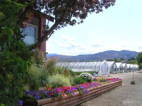 K & C Silviculture Ltd K & C Silviculture Ltd